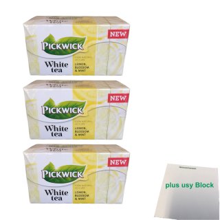 Pickwick White Tea Zitrone, Blüte, Minze 3er Pack (3x 20x1,5g) + usy Block