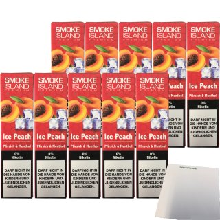Smoke Island E-Shisha Ice Peach ohne Nikotin 10er Pack (10x600 Züge) + usy Block