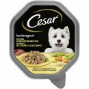 Cesar Schale Landragout mit Huhn, Gemüse und braunem...