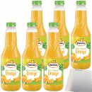 Valensina Milde Orange 100% Frucht ohne Zuckerzusatz Orangensaft 6er Pack (6x1 Liter Pet DPG) + usy Block