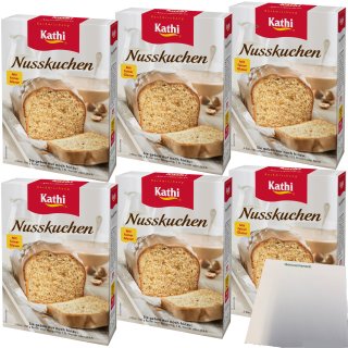 Kathi Backmischung für Nusskuchen mit Glasur 6er Pack (6x450g Packung) + usy Block