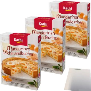 Kathi Backmischung für Mandarinen Schmandkuchen 3er Pack (3x460g Packung) + usy Block