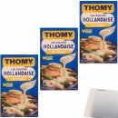 Thomy Les Sauce Hollandaise mit Zitrone 3er Pack (3x250ml Packung) + usy Block