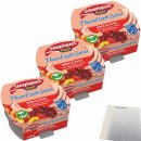 Saupiquet Thunfisch Salat Mexicana 3er Pack (3x160g Dose)...